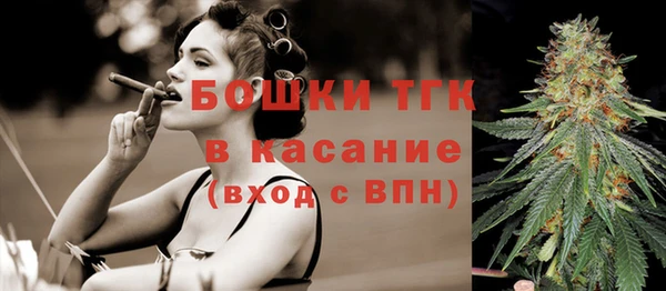 соль ск Алзамай