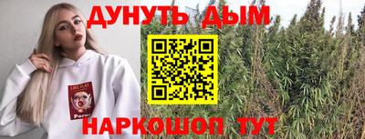 шишки Гагарин