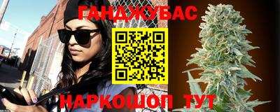 шишки Гагарин