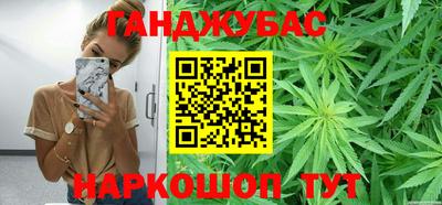 шишки Гагарин