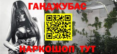 шишки Гагарин