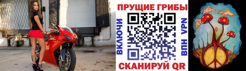 Галлюциногенные грибы мицелий  Самара 