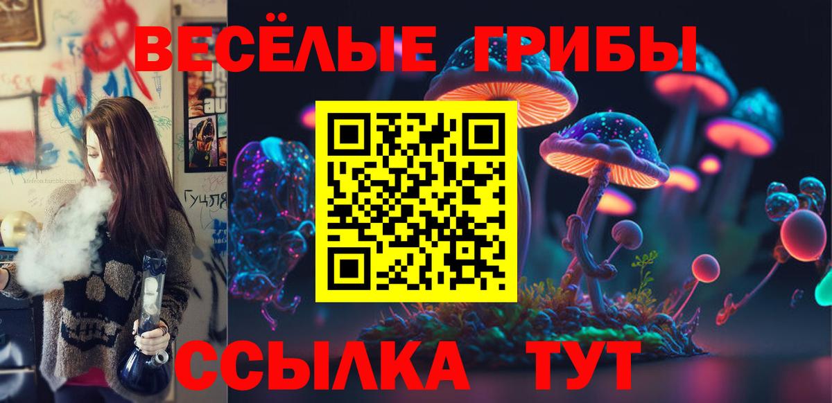 Галлюциногенные грибы Magic Shrooms Самара