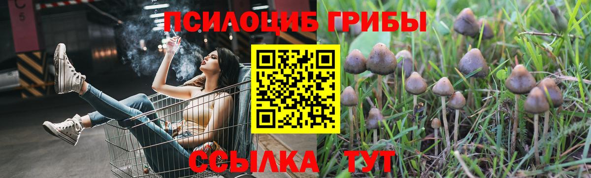 Самара  Галлюциногенные грибы Psilocybe  Вход с VPN  Псилоцибиновые грибы ЛСД 